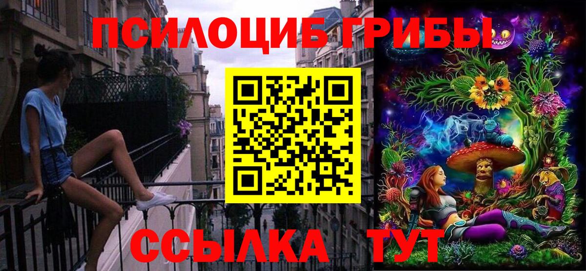 Псилоцибиновые грибы Psilocybine cubensis Кумертау