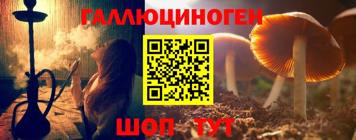Кумертау  Галлюциногенные грибы GOLDEN TEACHER  Вход с VPN  магазин    Псилоцибиновые грибы GOLDEN TEACHER 